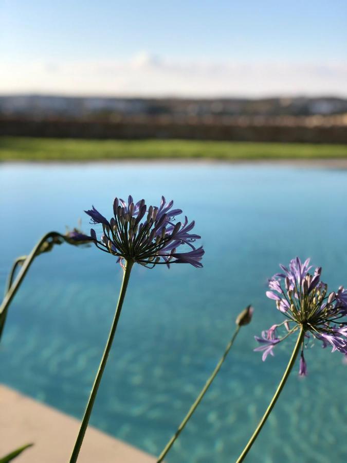 Vila Sunset Oasis L-Imgarr Exteriér fotografie